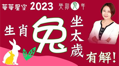 屬兔流年|2025 肖兔流年運程 